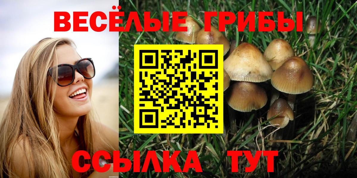 цены   Галлюциногенные грибы GOLDEN TEACHER  Вход с VPN  Галлюциногенные грибы прущие грибы  Знаменск 