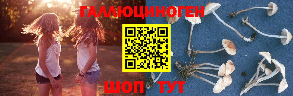 Галлюциногенные грибы мухоморы Знаменск